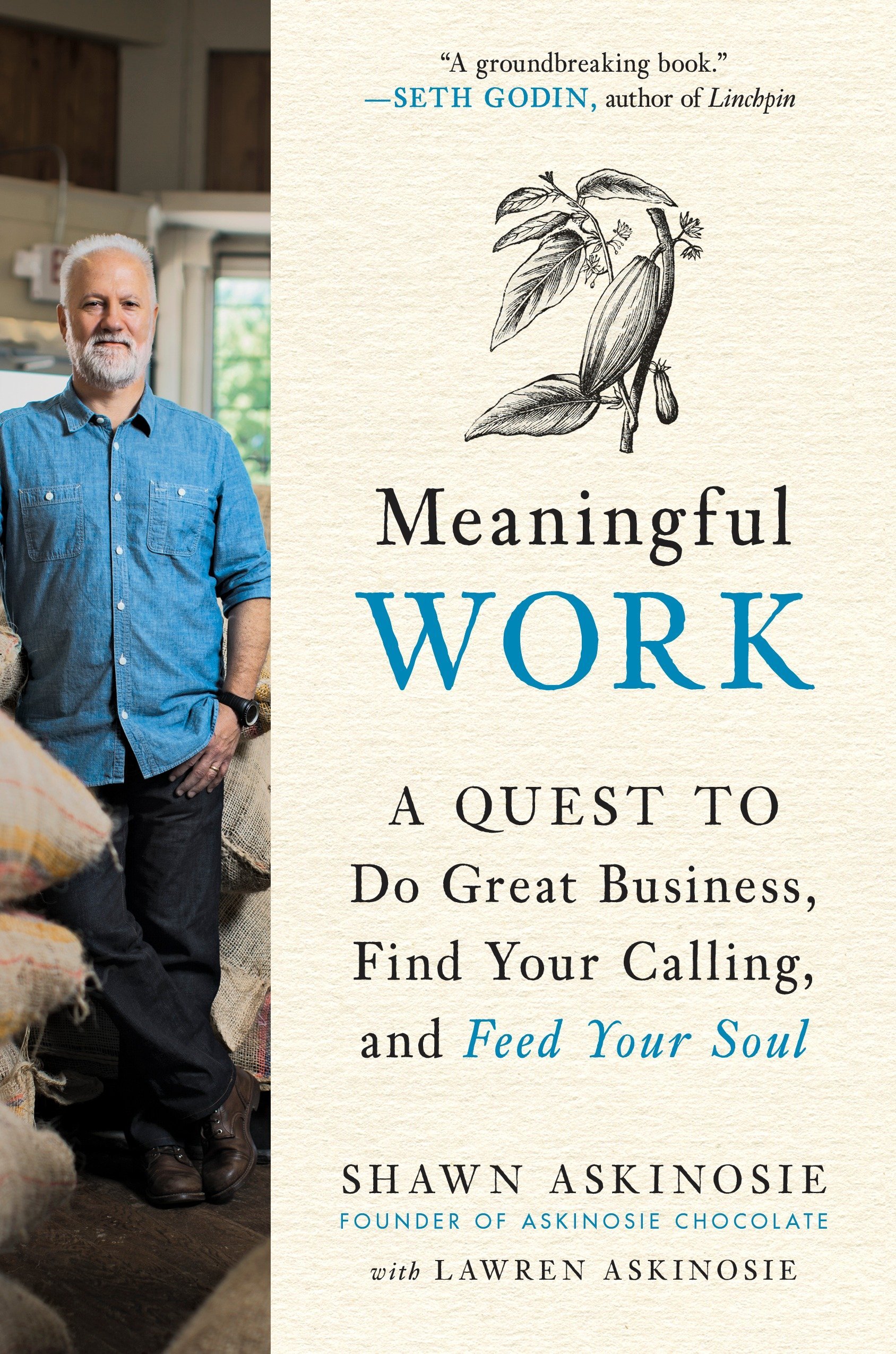 Algopix Similar Product 11 - Meaningful Work A Quest to Do Great