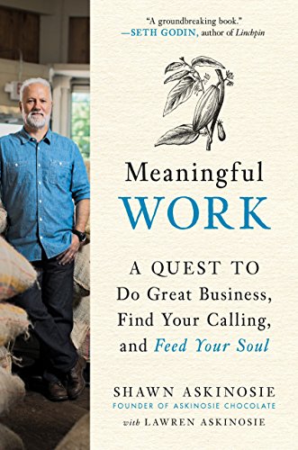 Algopix Similar Product 5 - Meaningful Work A Quest to Do Great