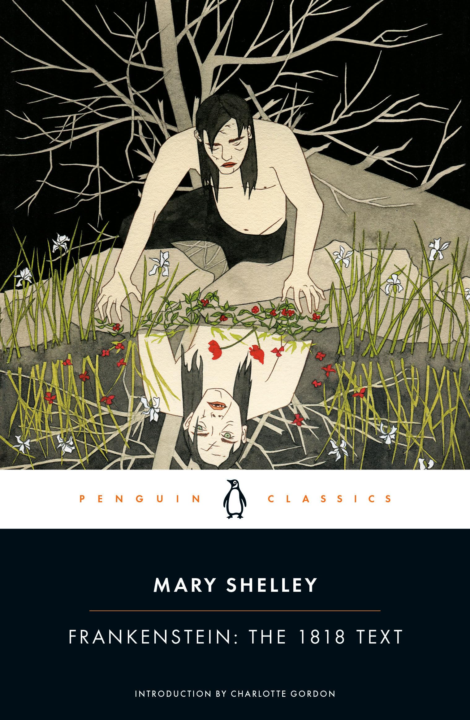 Algopix Similar Product 3 - Frankenstein The 1818 Text Penguin