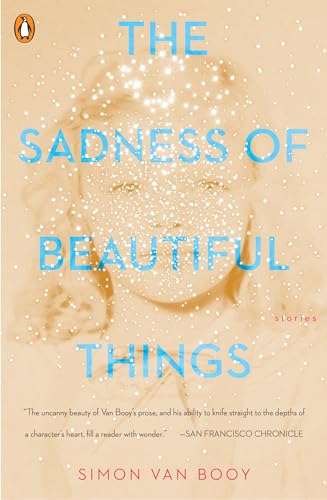 Algopix Similar Product 2 - The Sadness of Beautiful Things: Stories