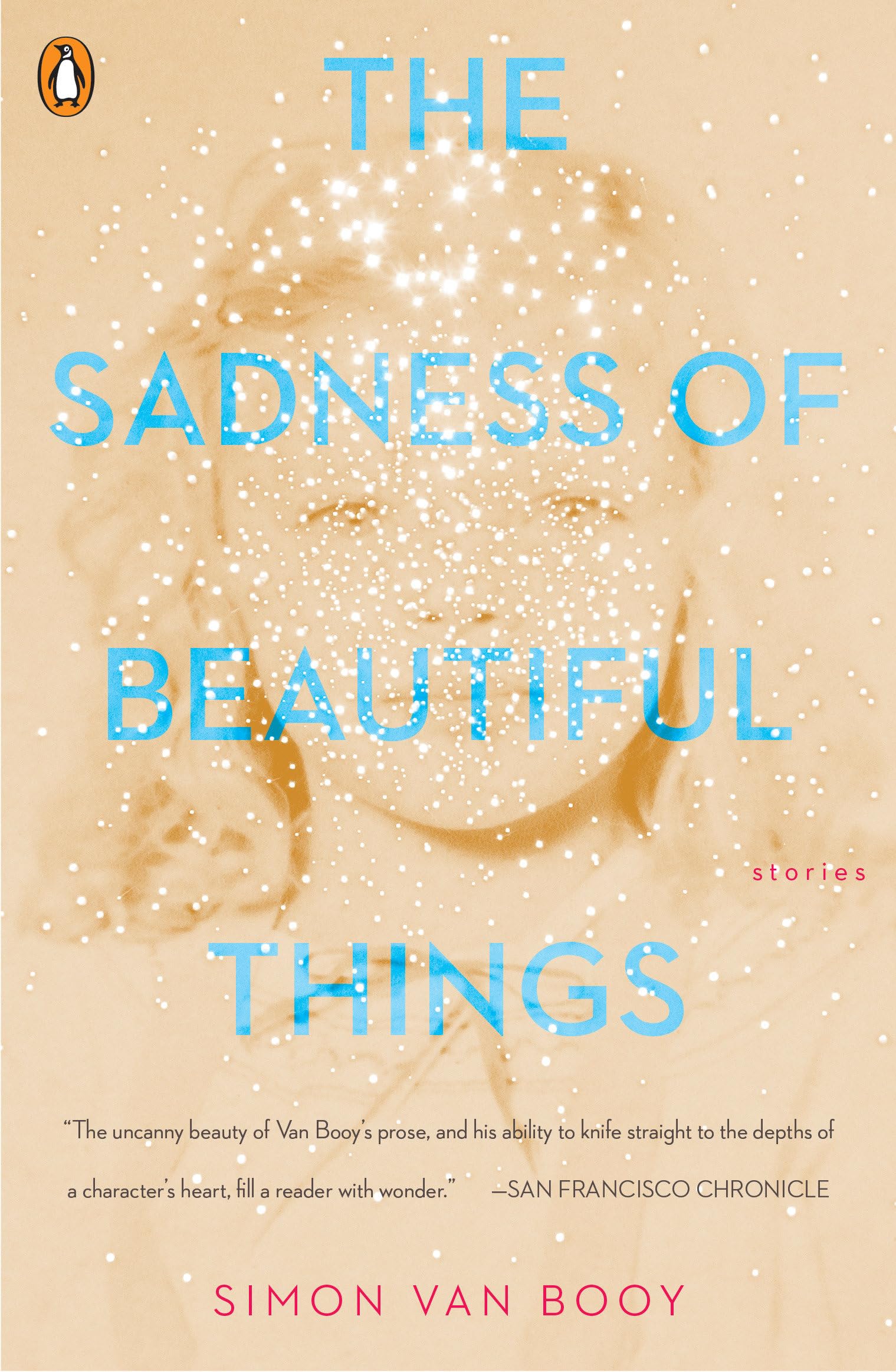 Algopix Similar Product 19 - The Sadness of Beautiful Things: Stories