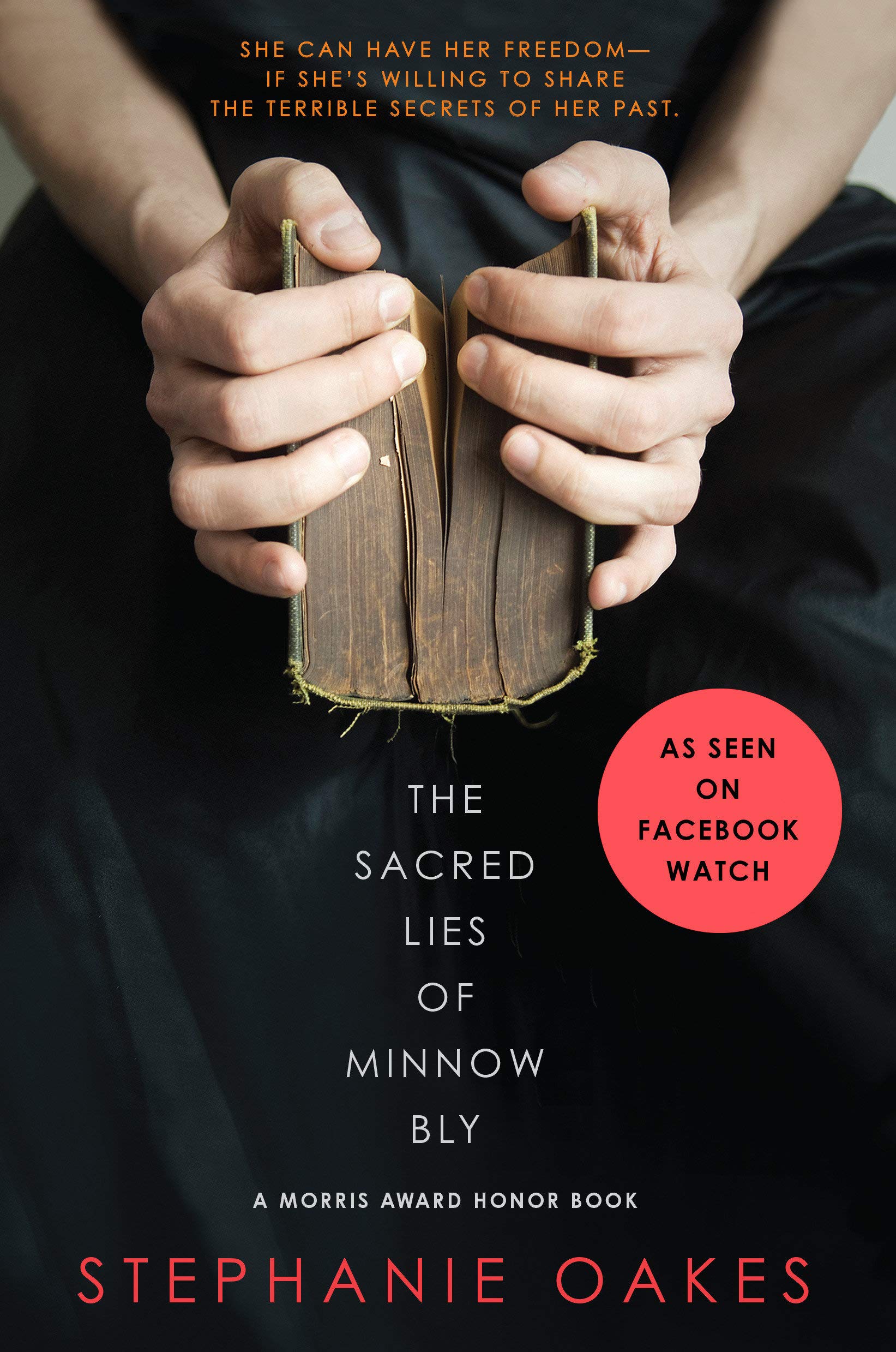 Algopix Similar Product 1 - The Sacred Lies of Minnow Bly