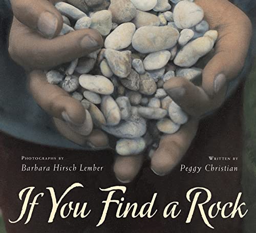 Algopix Similar Product 16 - If You Find a Rock