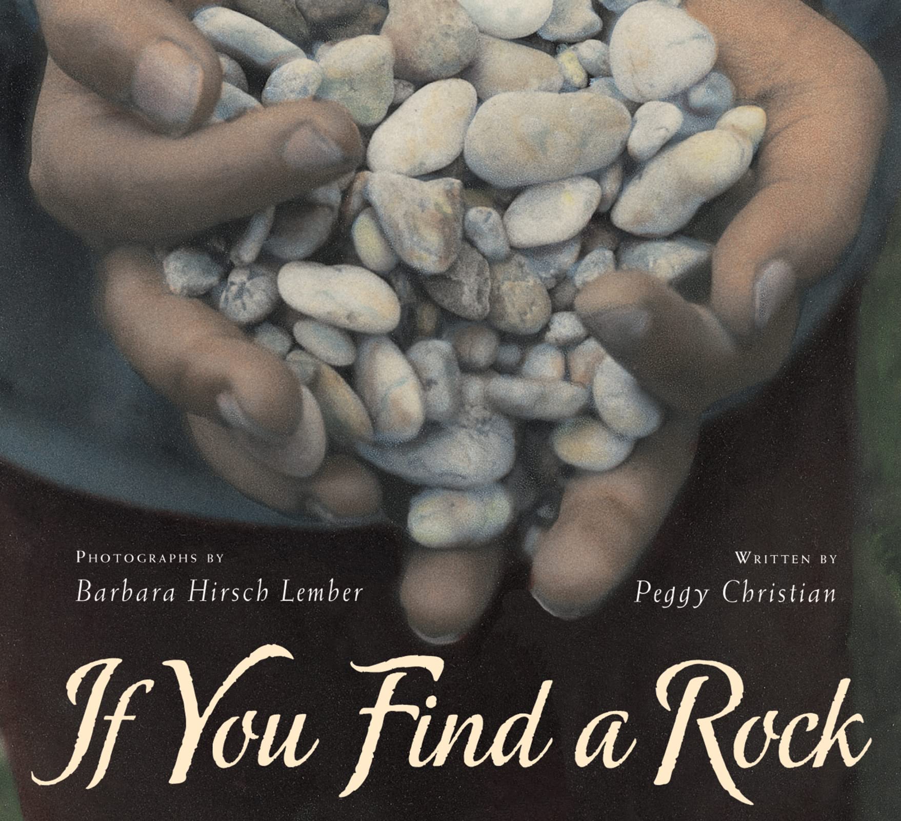 Algopix Similar Product 1 - If You Find a Rock
