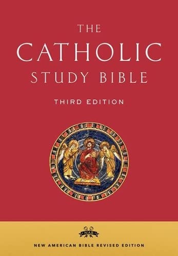 Algopix Similar Product 1 - The Catholic Study Bible