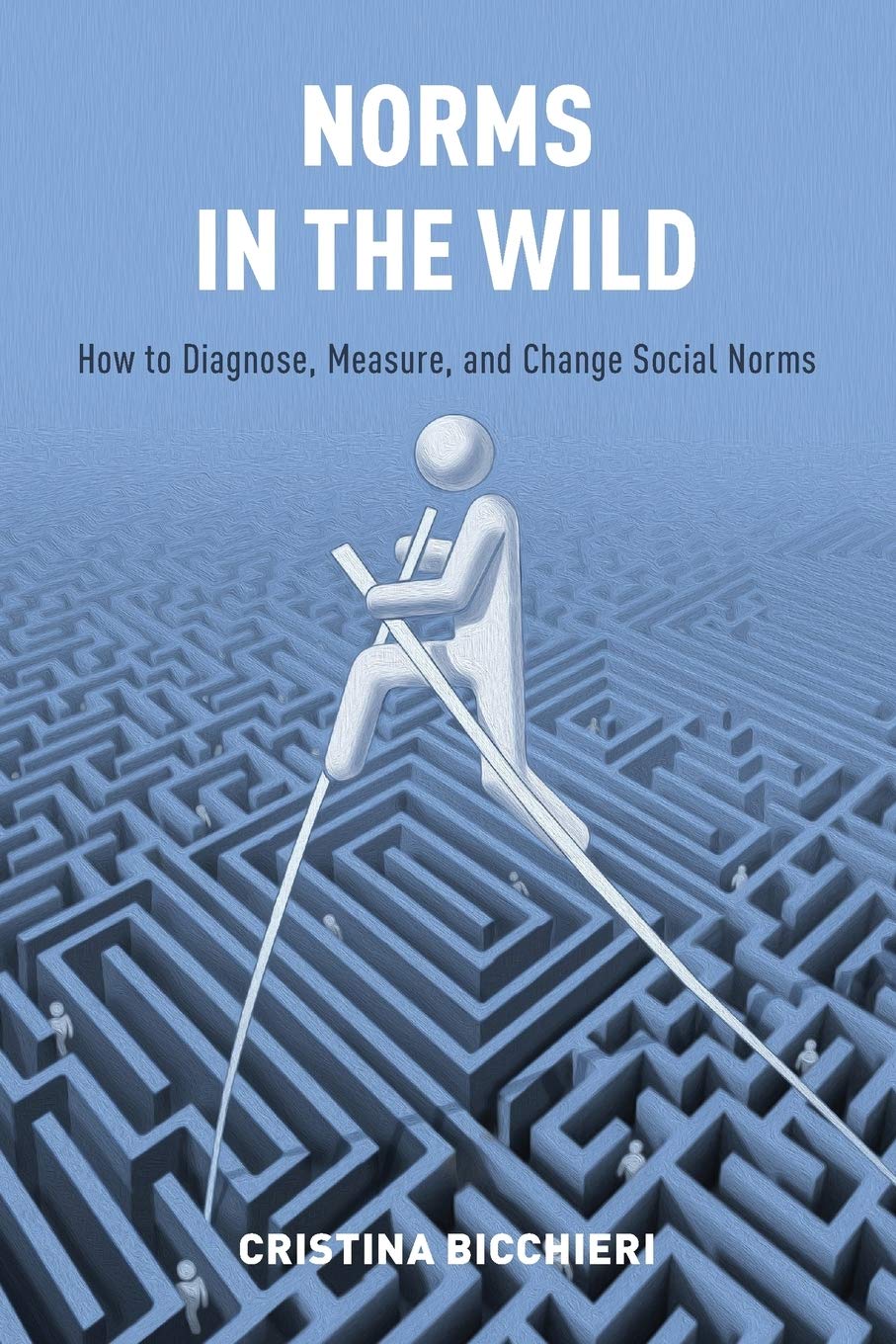 Algopix Similar Product 18 - Norms in the Wild How to Diagnose