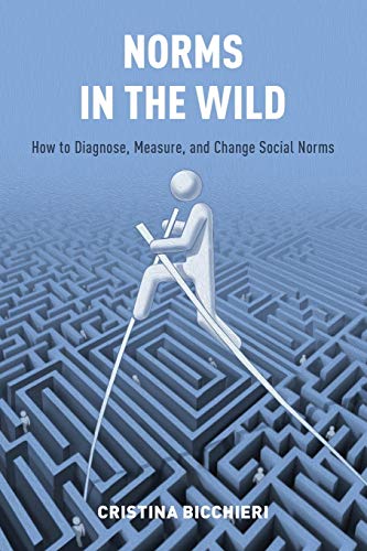 Algopix Similar Product 17 - Norms in the Wild How to Diagnose