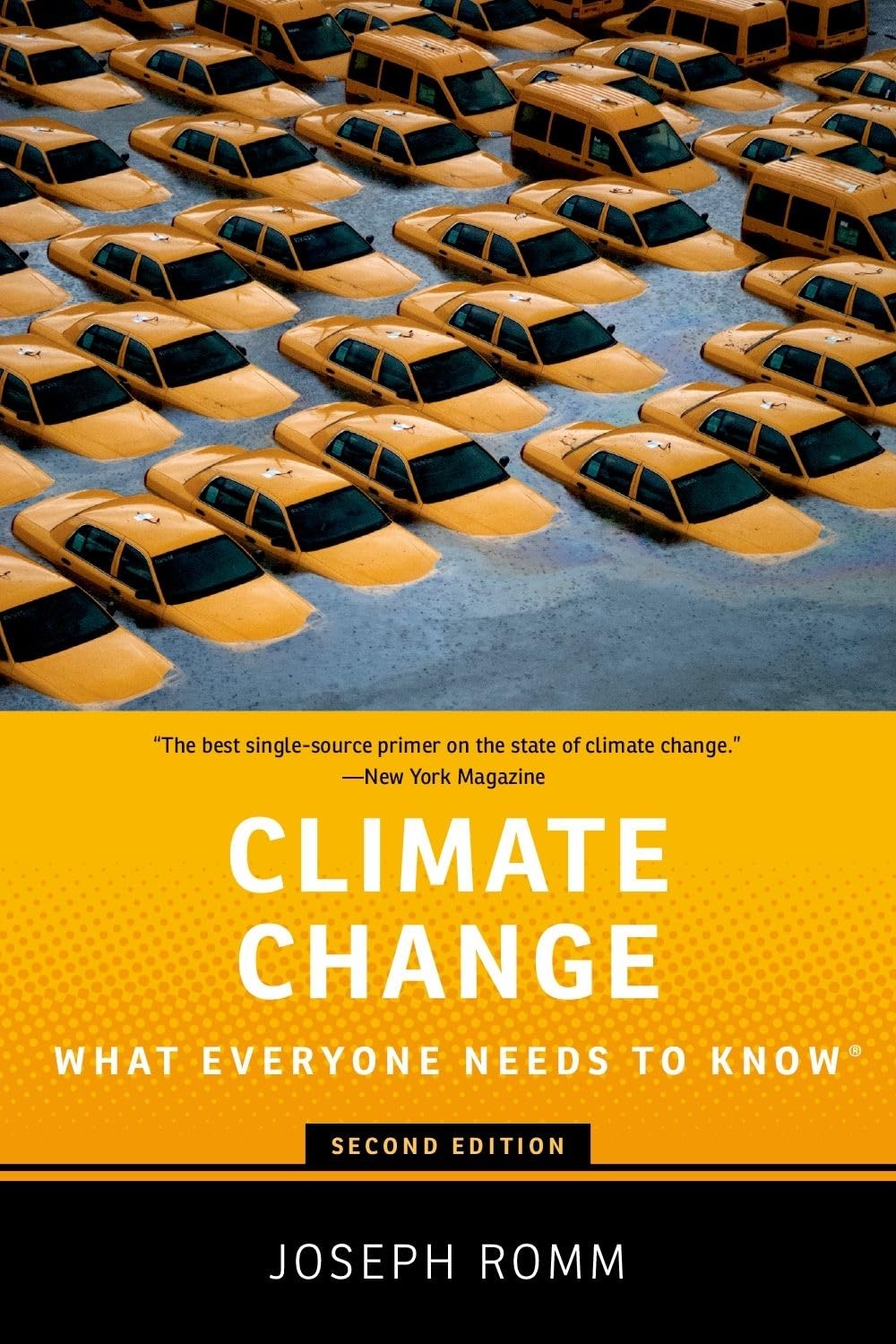 Algopix Similar Product 10 - Climate Change What Everyone Needs to