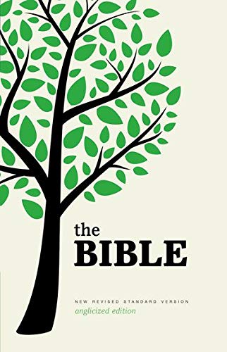 Algopix Similar Product 2 - New Revised Standard Version Bible