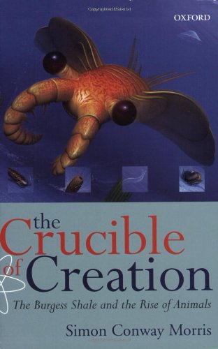 Algopix Similar Product 10 - The Crucible of Creation The Burgess