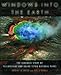 Algopix Similar Product 1 - Windows into the Earth The Geologic