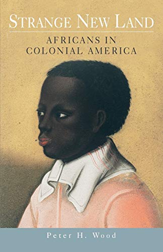 Algopix Similar Product 14 - Strange New Land Africans in Colonial