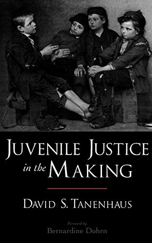 Algopix Similar Product 7 - Juvenile Justice in the Making Studies
