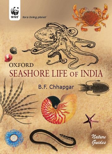 Algopix Similar Product 19 - Seashore Life of India (Nature Guides)