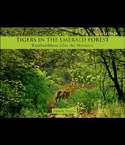 Algopix Similar Product 15 - Tigers in the Emerald Forest