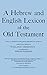 Algopix Similar Product 16 - A Hebrew and English Lexicon of the Old