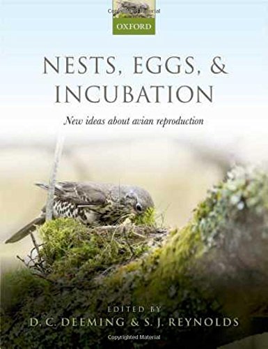 Algopix Similar Product 19 - Nests Eggs and Incubation New ideas