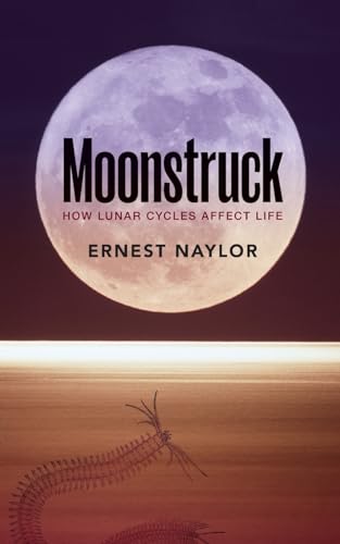 Algopix Similar Product 12 - Moonstruck: How lunar cycles affect life