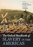 Algopix Similar Product 19 - The Oxford Handbook of Slavery in the