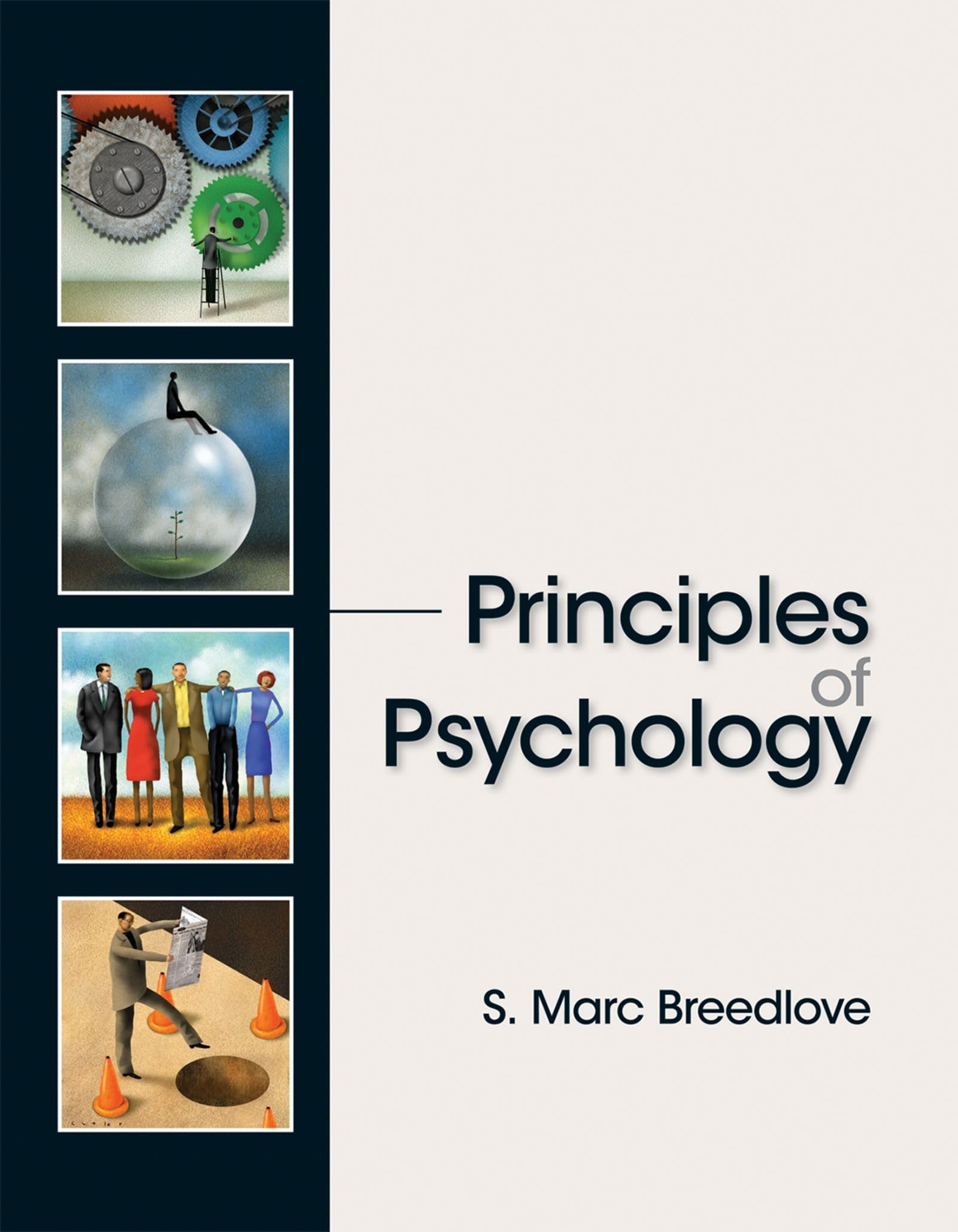 Algopix Similar Product 15 - Principles of Psychology