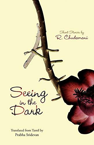 Algopix Similar Product 18 - Seeing in the Dark Short Stories by R