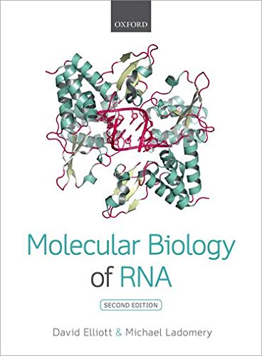 Algopix Similar Product 16 - Molecular Biology of RNA