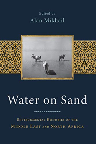 Algopix Similar Product 12 - Water on Sand Environmental Histories