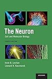 Algopix Similar Product 14 - The Neuron: Cell and Molecular Biology