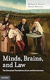 Algopix Similar Product 17 - Minds Brains and Law The Conceptual