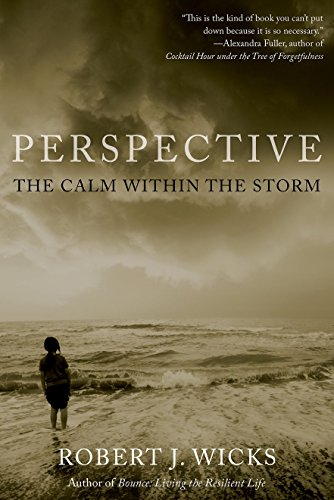 Algopix Similar Product 20 - Perspective: The Calm Within the Storm