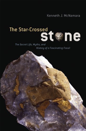 Algopix Similar Product 3 - The StarCrossed Stone The Secret
