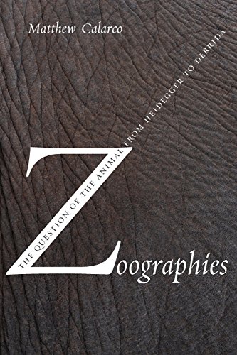 Algopix Similar Product 17 - Zoographies The Question of the Animal