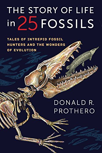 Algopix Similar Product 18 - The Story of Life in 25 Fossils Tales