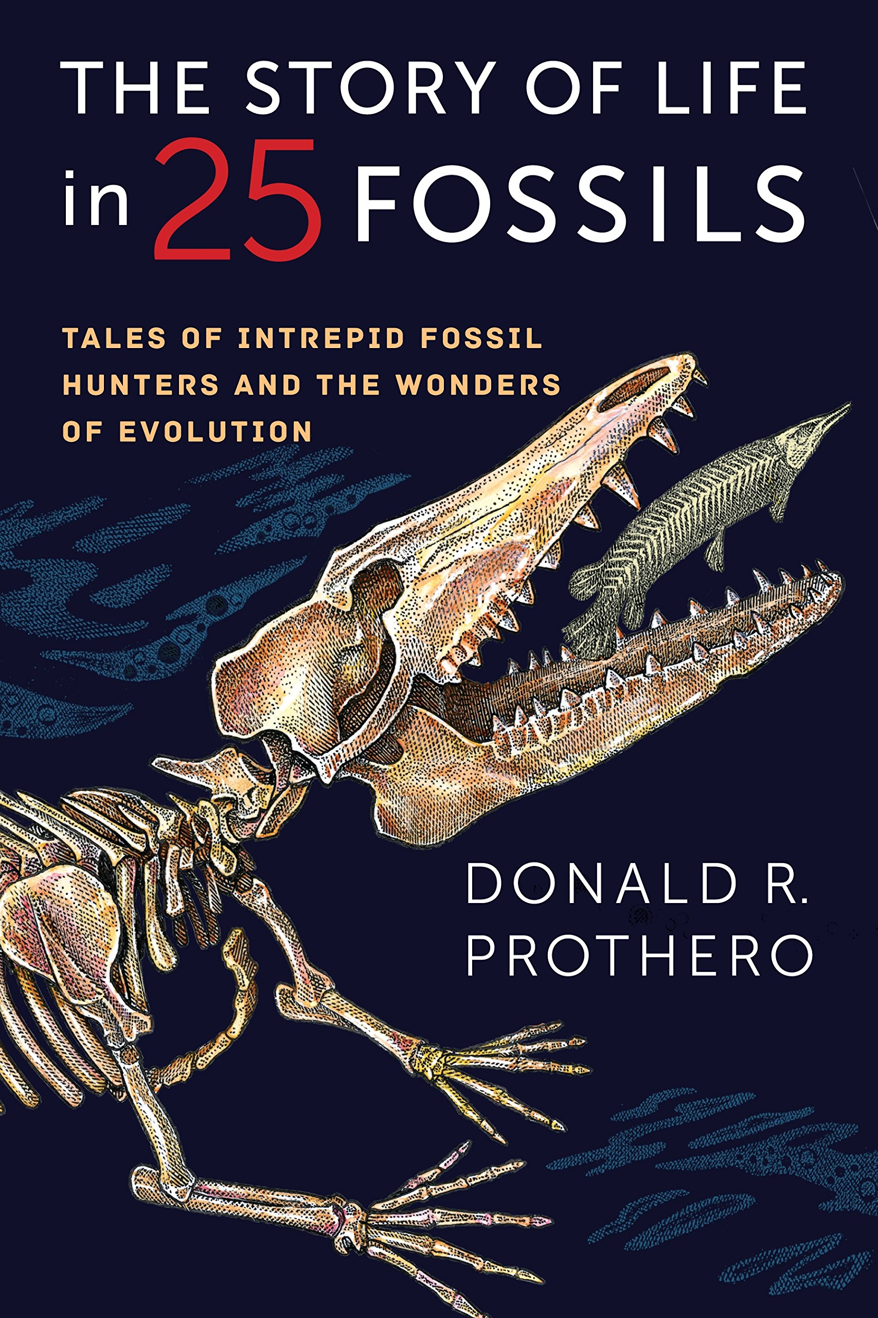 Algopix Similar Product 11 - The Story of Life in 25 Fossils Tales