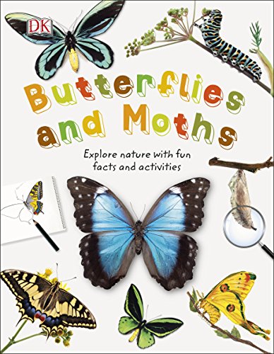 Algopix Similar Product 13 - Butterflies and Moths Explore Nature