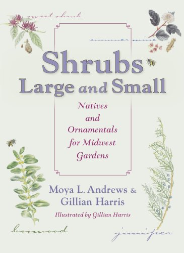 Algopix Similar Product 5 - Shrubs Large and Small Natives and