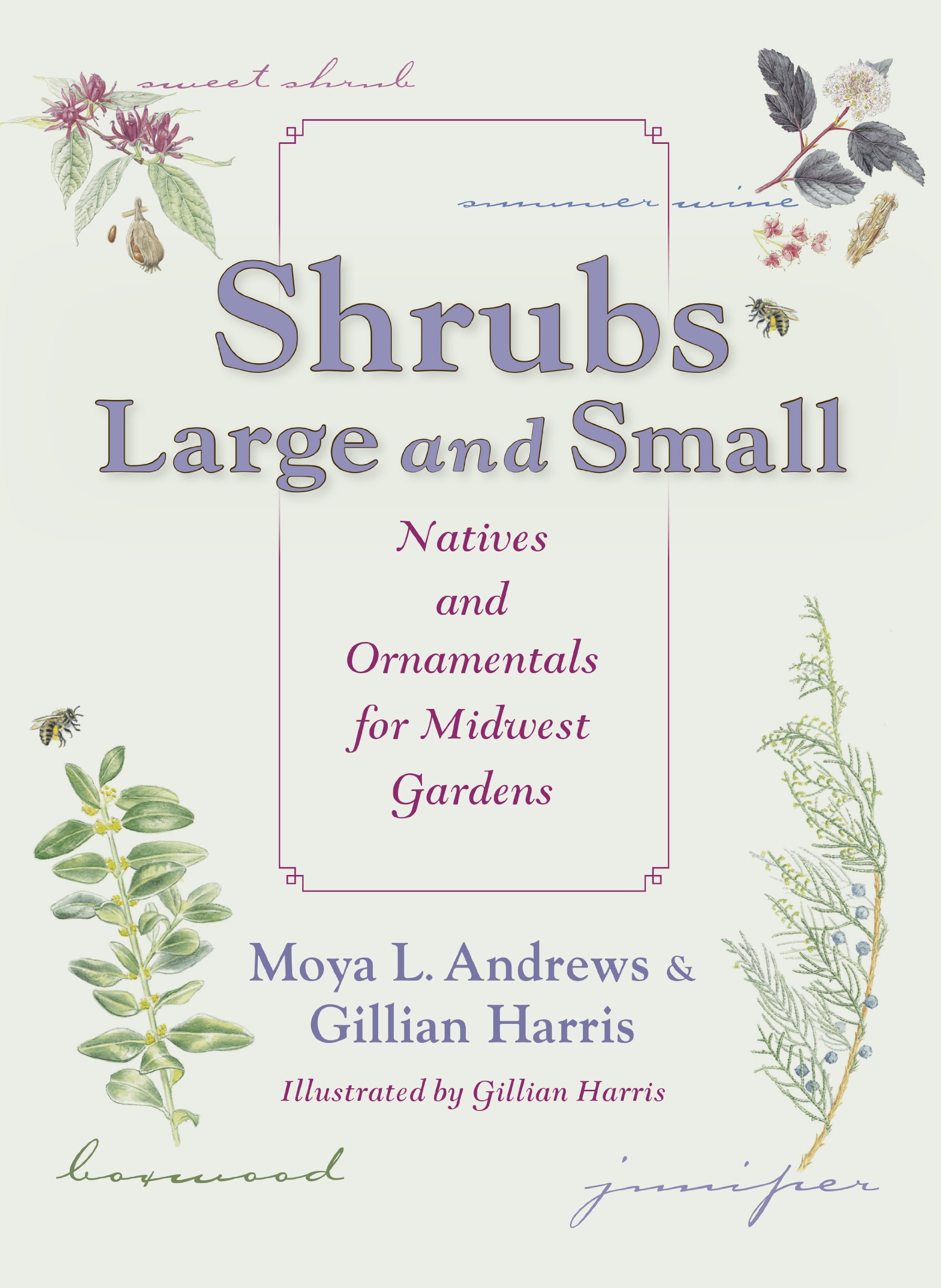 Algopix Similar Product 12 - Shrubs Large and Small Natives and