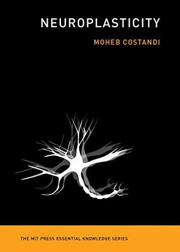 Algopix Similar Product 9 - Neuroplasticity The MIT Press