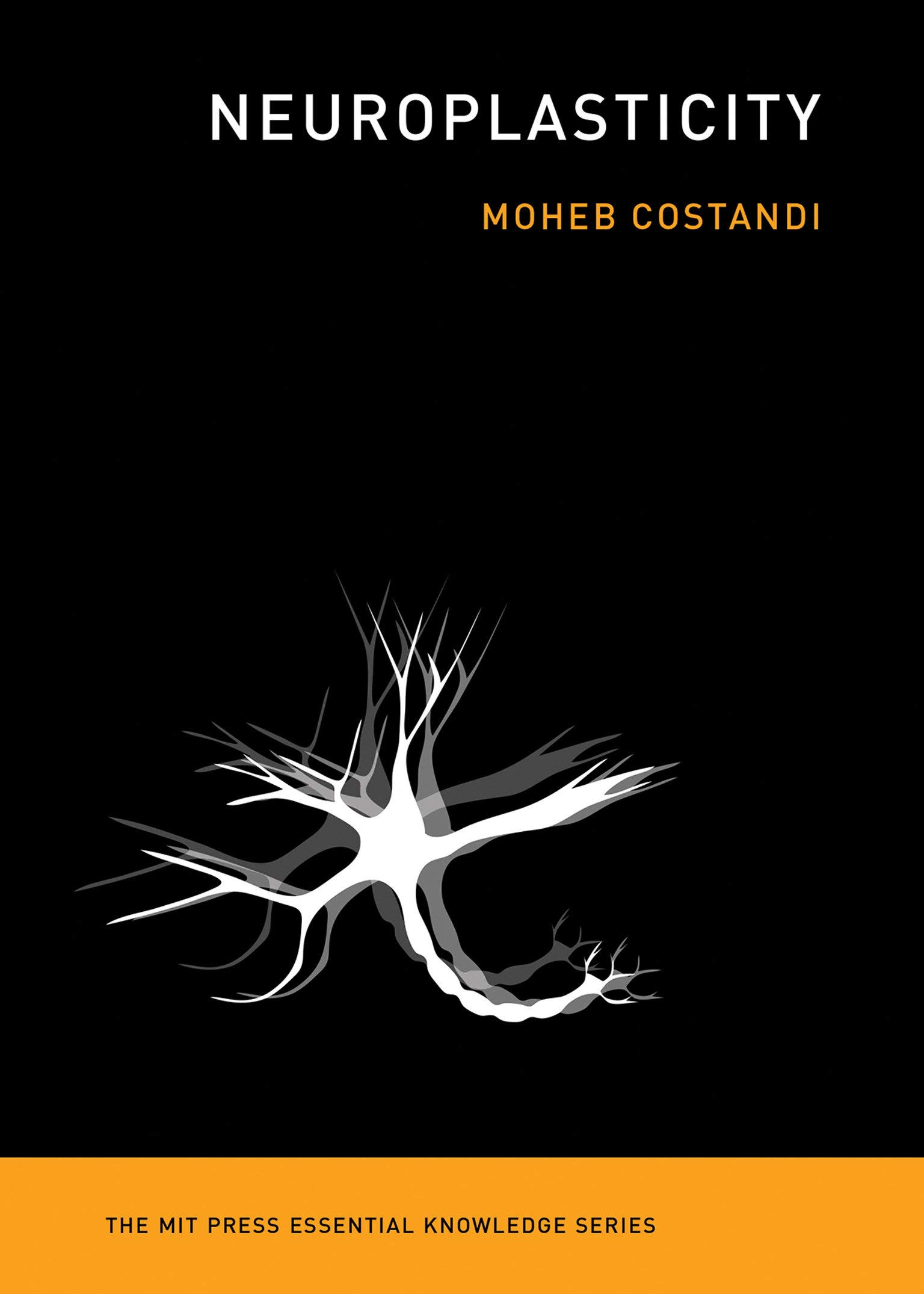 Algopix Similar Product 2 - Neuroplasticity The MIT Press