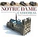 Algopix Similar Product 10 - Notre Dame Cathedral Nine Centuries of