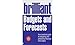 Algopix Similar Product 17 - Brilliant Budgets and Forecasts Your