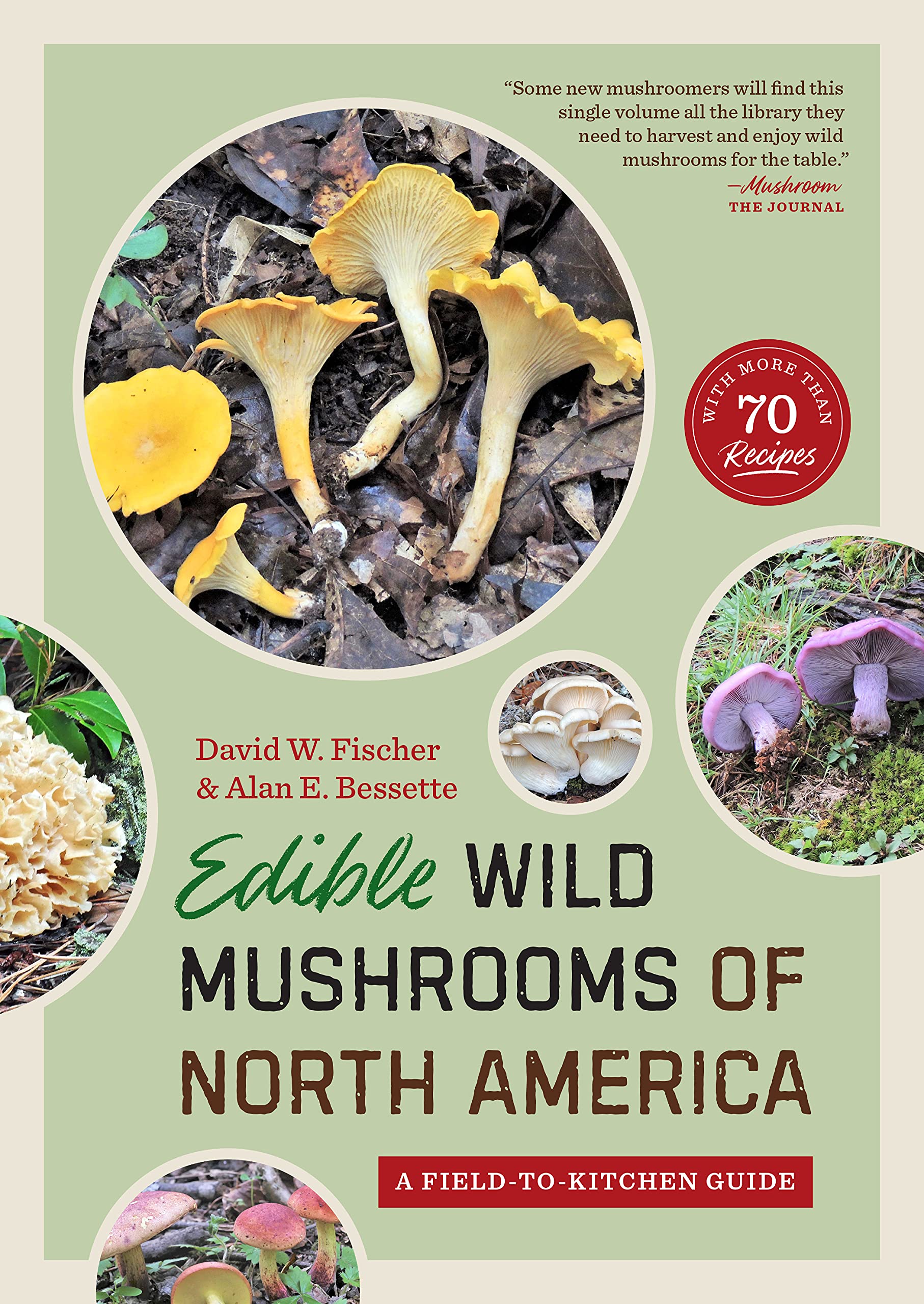 Algopix Similar Product 13 - Edible Wild Mushrooms of North America