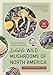 Algopix Similar Product 10 - Edible Wild Mushrooms of North America