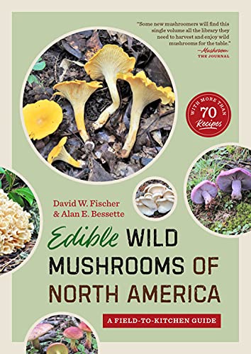 Algopix Similar Product 19 - Edible Wild Mushrooms of North America