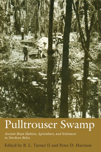 Algopix Similar Product 20 - Pulltrouser Swamp Ancient Maya