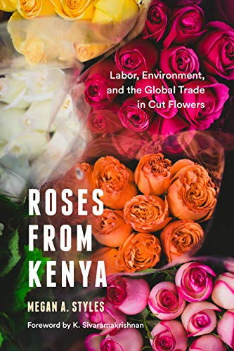 Algopix Similar Product 1 - Roses from Kenya Labor Environment