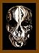 Algopix Similar Product 9 - Alexander McQueen: Savage Beauty