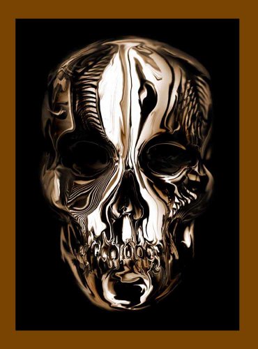 Algopix Similar Product 6 - Alexander McQueen: Savage Beauty