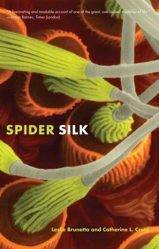 Algopix Similar Product 19 - Spider Silk Evolution and 400 Million