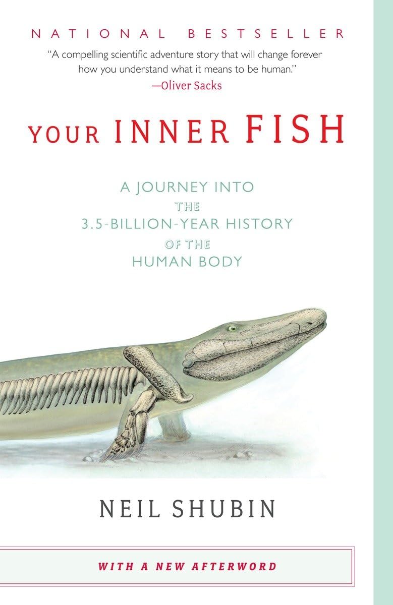 Algopix Similar Product 12 - Your Inner Fish A Journey into the